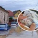Ajutoare de până la 10.000 de lei de la stat pentru familiile afectate de inundații și fenomene meteorologice periculoase