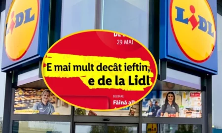LIDL, noi oferte pentru vară! Prețuri ieftine pentru o multitudine de produse căutate de români