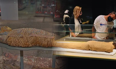 Top 10 muzee neconvenționale. Explorând bizarul de la mumii la banane și toalete