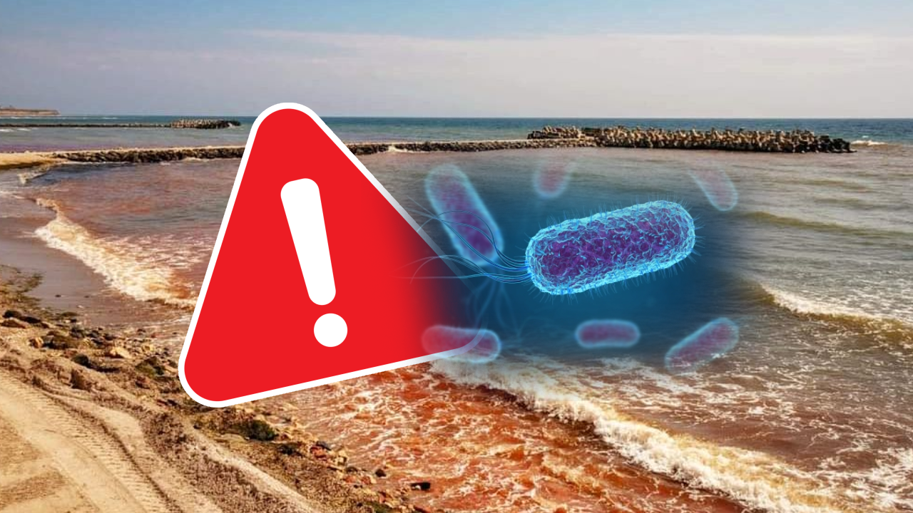 Alarmă la Marea Neagră: Bacterie detectată în apele mării