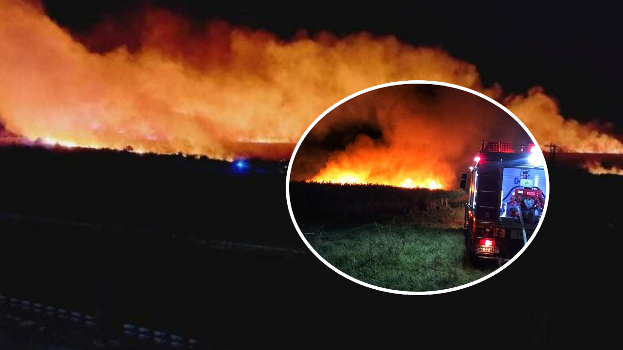 Arde România! Incendiu de proporții într-o zonă plină de vegetație, pompierii încearcă să limiteze daunele