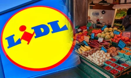 LIDL România: Sustenabilitate, calitate și transparență în susținerea producătorilor locali