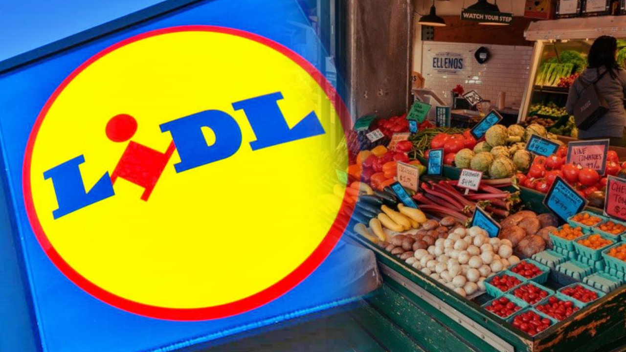 LIDL România: Sustenabilitate, calitate și transparență în susținerea producătorilor locali