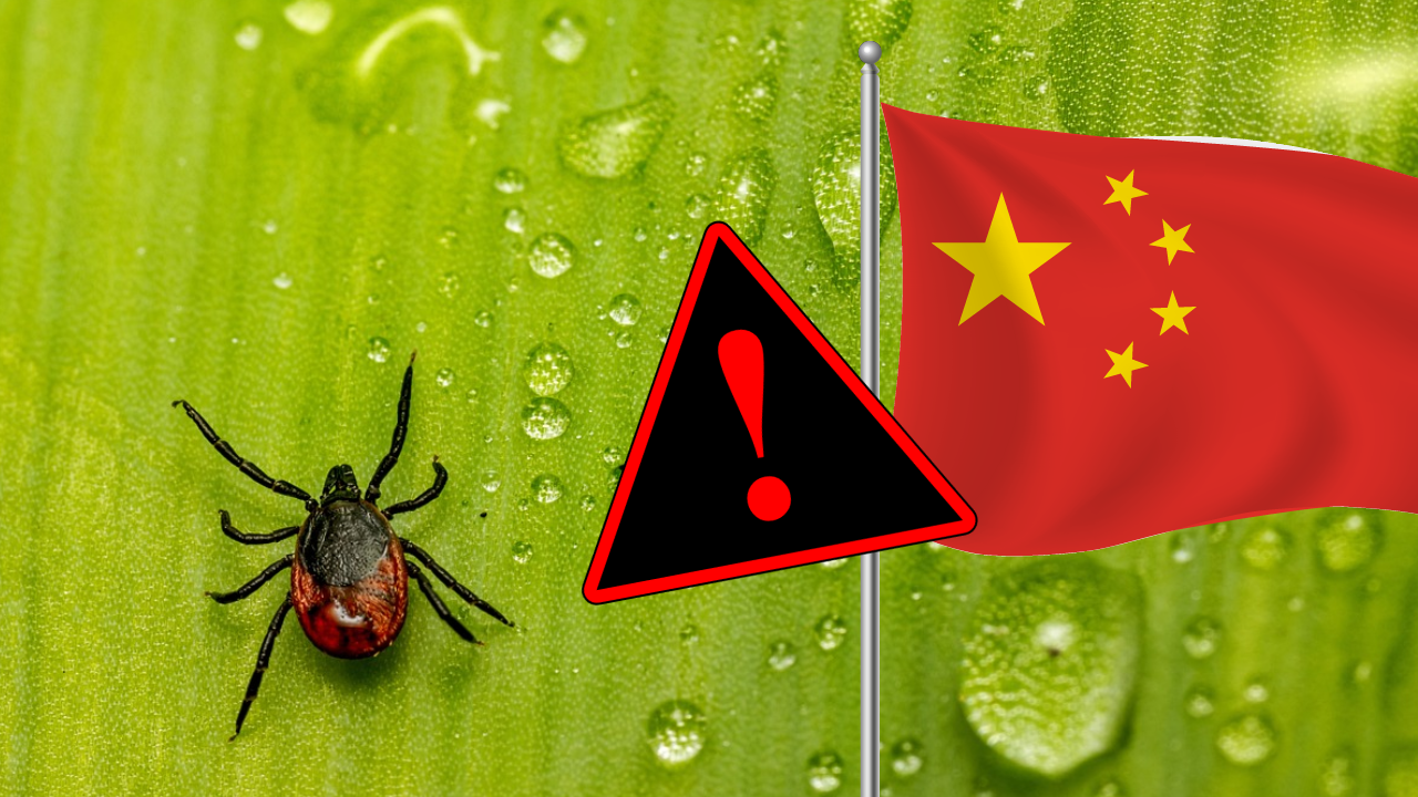 Virusul Alongshan din China invadează Europa! Ce trebuie să știi