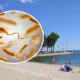 Alertă pe plajă! Bacterie ucigașă în apă sărată! Simptomele și modul de transmitere