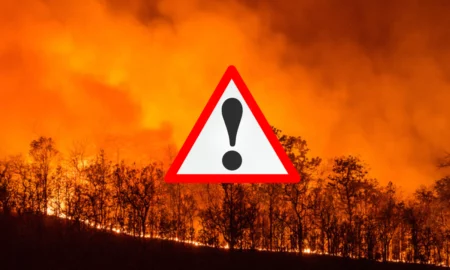 Încă o țară se luptă cu focul! Canicula declanșează un nou val de incendii, peste 1.000 de hectare distruse
