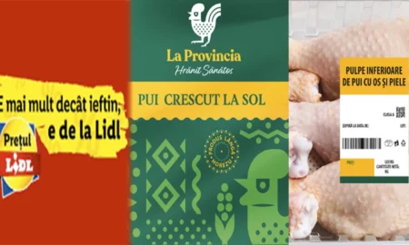 Promoții imbatabile la Lidl: Produse de numai 2 lei. Gigantul lanțului de magazine aduce noutăți în oferta săptămânală