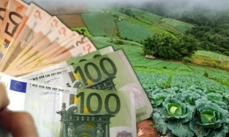 Se oferă salarii atractive de 1.800 de euro! Domeniul agricol și protecția mediului, puncte fierbinți pentru angajare