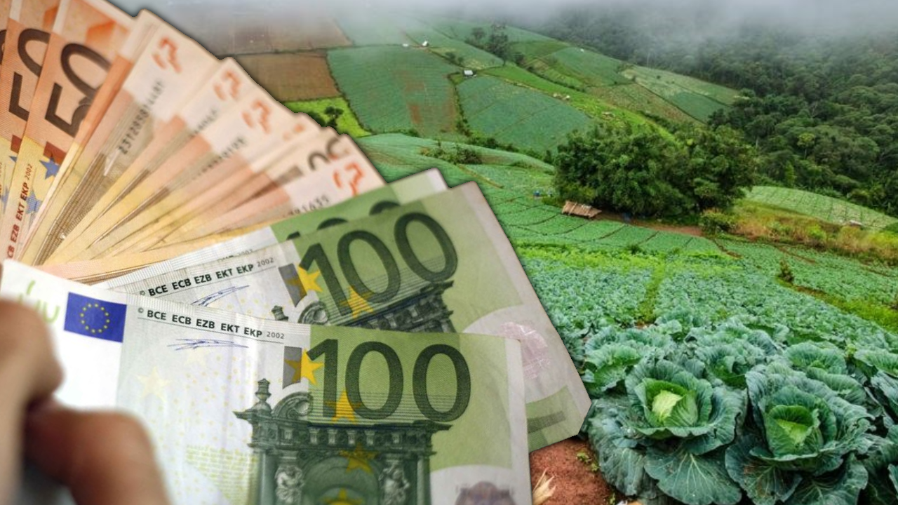 Se oferă salarii atractive de 1.800 de euro! Domeniul agricol și protecția mediului, puncte fierbinți pentru angajare