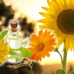 Alarmă în piață! Crește prețul la uleiul de floarea-soarelui: „floarea-soarelui a avut parte de un regim mai puternic de boli”