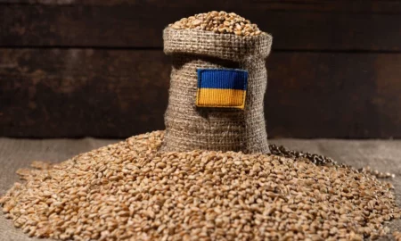 Bătălia cerealelor: România și Ucraina încheie discuții cruciale. Protejarea fermierilor și stabilirea unui comerț echitabil