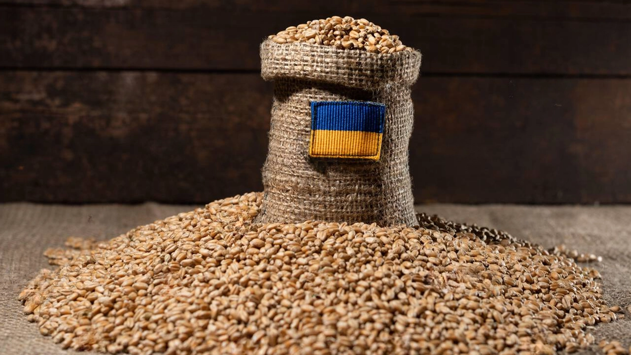 Bătălia cerealelor: România și Ucraina încheie discuții cruciale. Protejarea fermierilor și stabilirea unui comerț echitabil