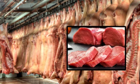 Carnea de porc, mai rară decât caviarul: Importurile ating niveluri record, iar deficitul se apropie de 1 miliard de euro
