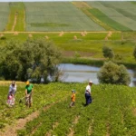 Drepturile de pensie pentru românii din străinătate! Află procedurile necesare și condițiile de acordare. Ghid pentru 2023