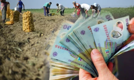 Fonduri uriașe pentru agricultori: 17.000 de români primesc 172 milioane de lei de la APIA