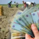 Fonduri uriașe pentru agricultori: 17.000 de români primesc 172 milioane de lei de la APIA