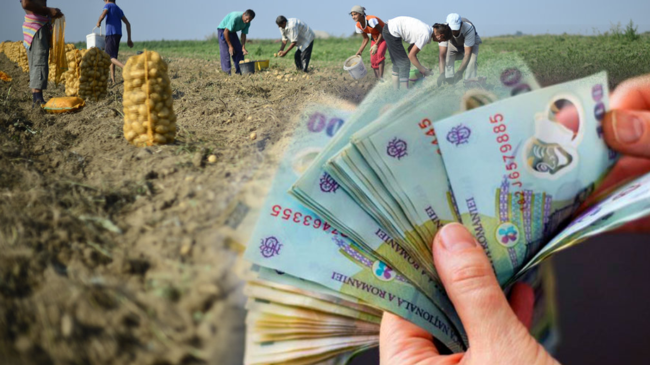 Plăți de peste 19 milioane de euro în ultimele trei zile: APIA și AFIR fac schimbări majore în agricultură