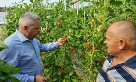 Guvernul României aprobă programul de sprijin de 590 milioane euro. Inițiativa vizează dezvoltarea sectorului agroalimentar