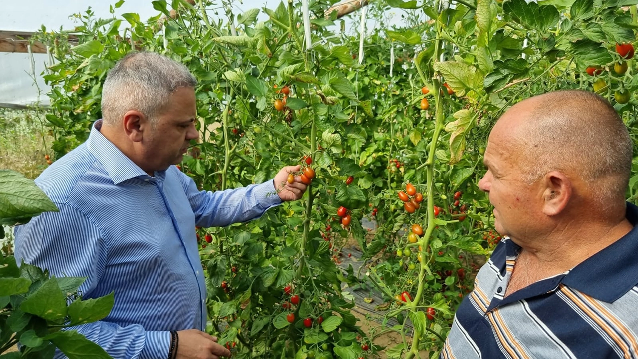 Guvernul României aprobă programul de sprijin de 590 milioane euro. Inițiativa vizează dezvoltarea sectorului agroalimentar