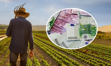 Majorare substanțială a subvențiilor pentru fermieri! Începând din 2024 suma primită de fermier este aproximativ 460 euro/hectar