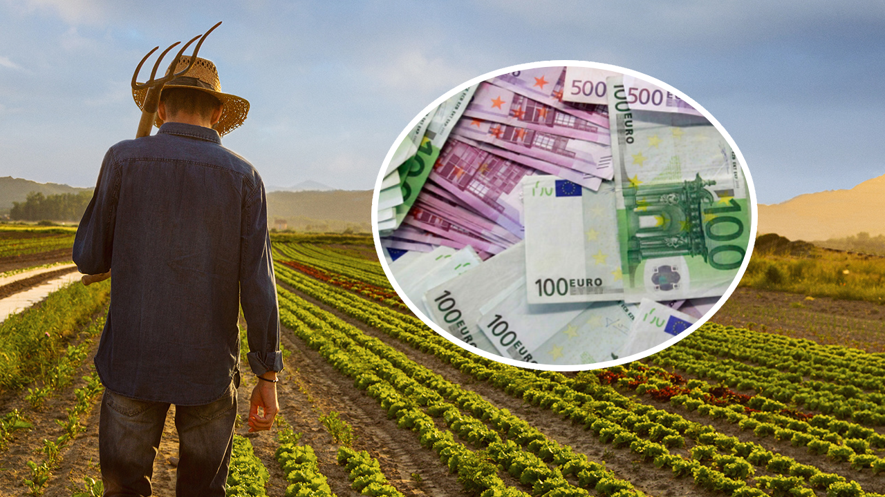 Majorare substanțială a subvențiilor pentru fermieri! Începând din 2024 suma primită de fermier este aproximativ 460 euro/hectar