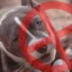 Interzicerea oficială a rasei de câine care a atacat o fetiță de 11 ani din România