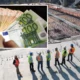 Locuri de muncă în construcții. Salarii de până la 1500 Euro și beneficii atractive în România!