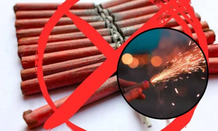Se interzic petardele și artificiile?! Măsuri stricte împotriva petardelor și pocnitorilor în București