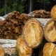 Explozie de prețuri pentru lemnul de foc în 2023! O amenințare pentru încălzirea românilor?