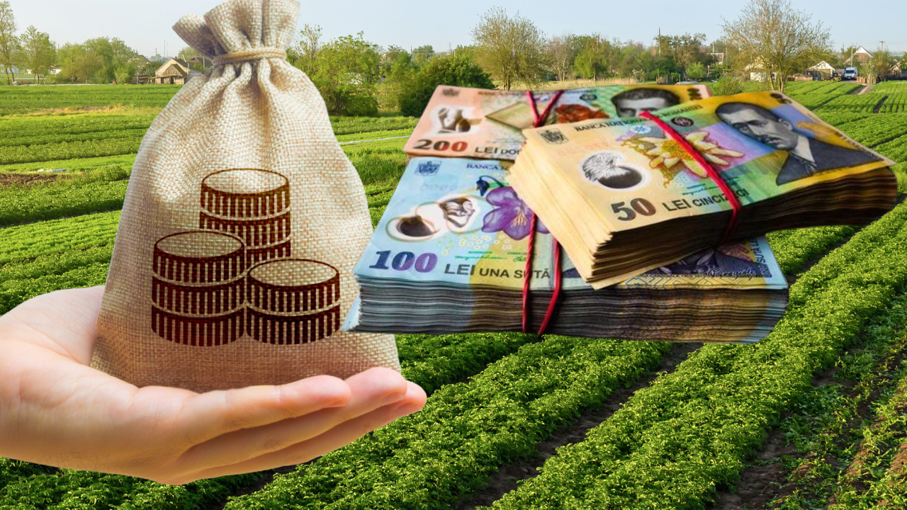 Ajutor financiar pentru fermieri! Fonduri de 435 de milioane de euro disponibile începând cu 20 decembrie