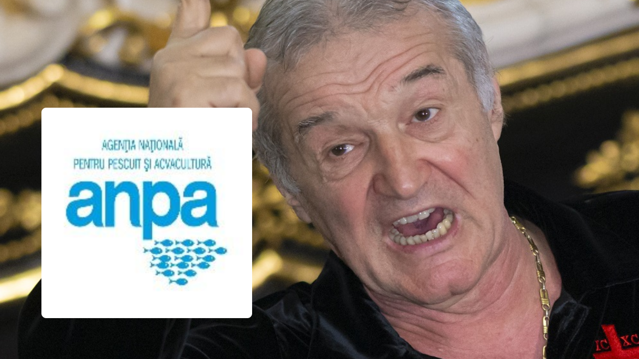 Gigi Becali în confruntare directă cu ANPA! Dispută juridică pe braconaj și ecouri în afacerile piscicole