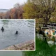 Descoperire șocantă pe Dâmbovița! Misterul femeii dispărute și tragicul sfârșit în apele râului
