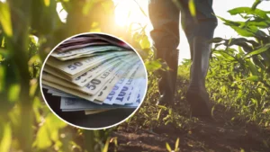 Sprijin financiar major pentru fermierii Români! Guvernul alocă 72 de milioane de euro în agricultură