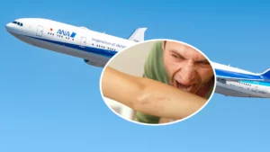 Incident șocant în avion! Pasagerul a mușcat o stewardesă și a negat vehement acuzațiile