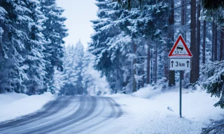 România în Alertă! Cod Galben de ninsori și viscol - Cum ne afectează vremea extremă