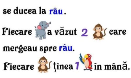 Demonstrezi că ești un geniu? Descoperă dacă ești capabil să rezolvi ghicitoarea „Un iepure a văzut 6 elefanți”!