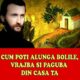 Părintele Arsenie Boca dezvăluie cum poți alunga bolile, vrajba și paguba din casă: secretele unei vieți fără necazuri