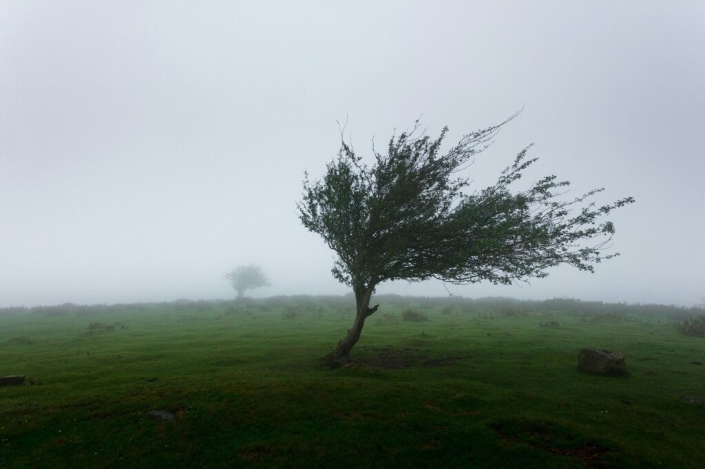 Cod galben de vijelii puternice, până miercuri noapte! Cele 13 județe în care se vor resimți fenomenele meteo severe