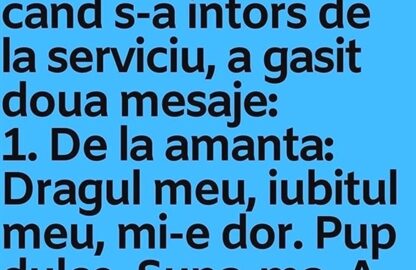 Sotul si-a uitat telefonul acasa. cand s-a intors de la serviciu, a gasit doua mesaje