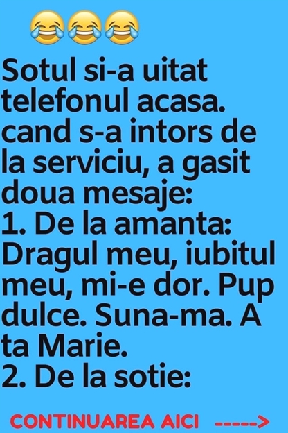 Sotul si-a uitat telefonul acasa. cand s-a intors de la serviciu, a gasit doua mesaje