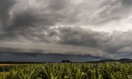 Cod portocaliu de ploi torențiale, vijelie puternică și grindină, în vestul țării. Localitățile vizate de avertizarea meteo imed