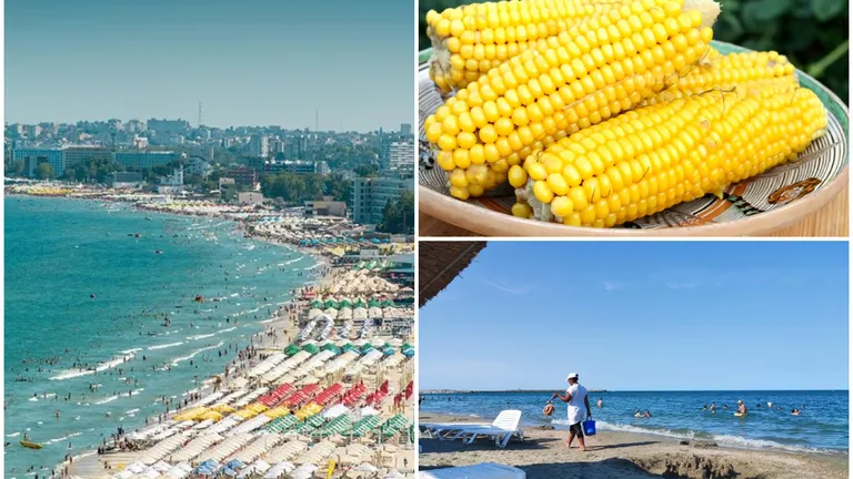 ANPC, semnal de alarmă pentru românii plecați în vacanță. Nu consumați aceste alimente de pe litoral! Pericolul este foarte mare!