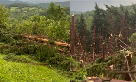 VIDEO Maramureșul, devastat de furtuni: Un bărbat a murit lovit de fulger. O pădure a fost doborâtă de vânt