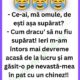 Ce-ai, mă omule, de ești așa supărat?