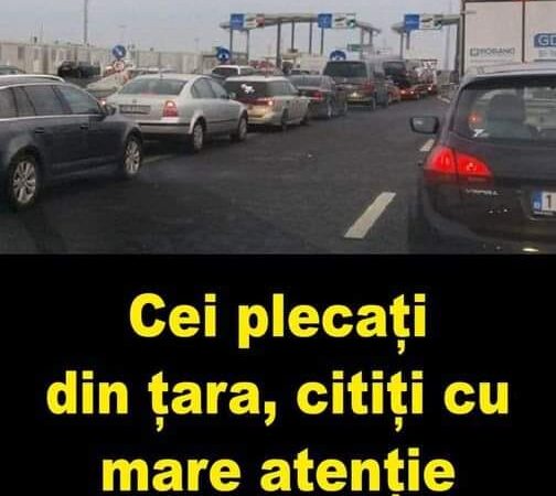 Români emigrați: Bucuriile și provocările reîntoarcerii acasă