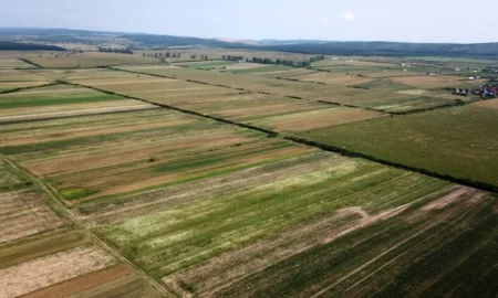 A crescut numărul tranzacțiilor cu terenuri agricole, în Iași. S-au vândut suprafețe mici, cu prețuri mari