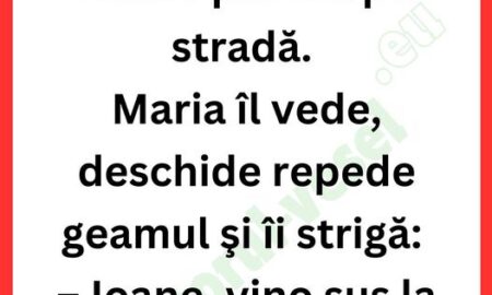 Dialoguri Picante și Umor Spumos: Aventurile lui Ion și Bulă pe Scenele Vieții Cotidiene