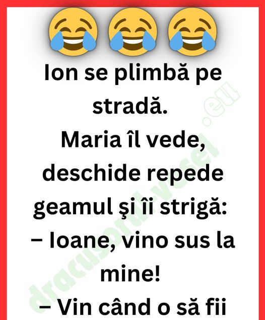 Dialoguri Picante și Umor Spumos: Aventurile lui Ion și Bulă pe Scenele Vieții Cotidiene