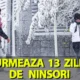 13 zile de NINSOARE în noiembrie! Meteorologii EaseWeather anunță pe ce dată începe să ningă în România