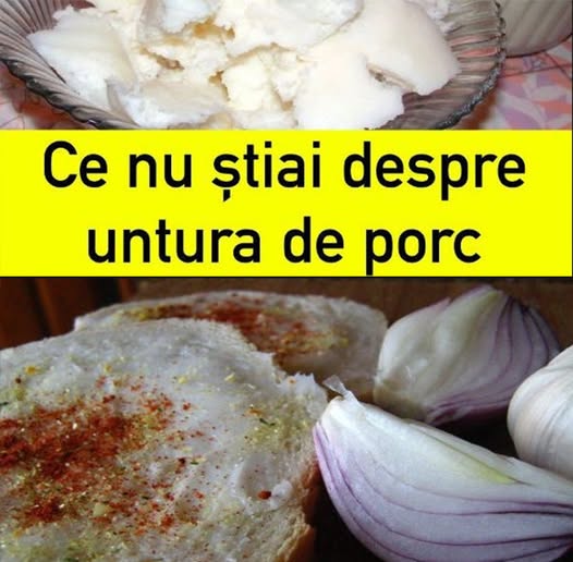 Untură de porc. Adevărul pe care nimeni nu îl spune